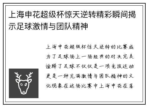 上海申花超级杯惊天逆转精彩瞬间揭示足球激情与团队精神