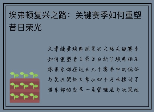 埃弗顿复兴之路：关键赛季如何重塑昔日荣光